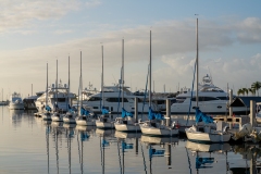 Coconut-Grove-5