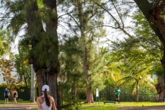Coconut-Grove-7