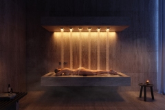 Four-Seasons-Coconut-Grove-Horizontal-Shower